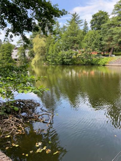 Schwanenteich (Siegen)-1