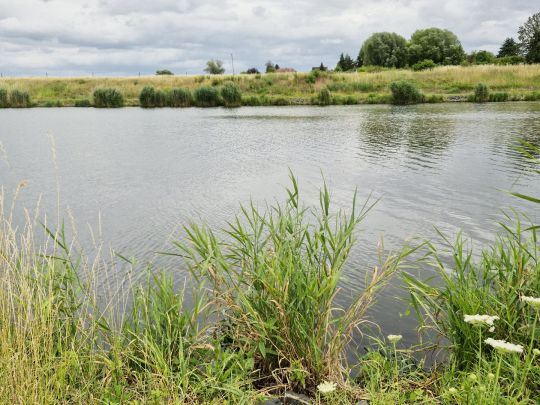 Elbe-Havel-Kanal (Parey)-1