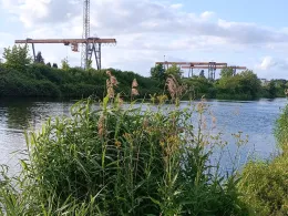 Elbe-Havel-Kanal (Parey)-4
