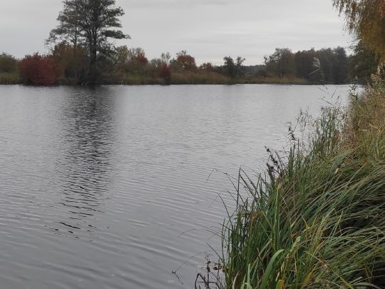 Kanal zur Uecker (Liepgarten)-3