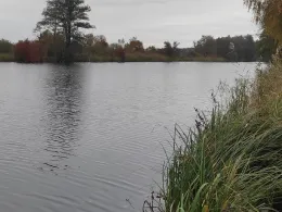 Kanal zur Uecker (Liepgarten)-3