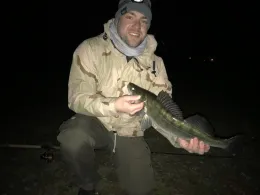 Main (Bürgstadt am Main)-0