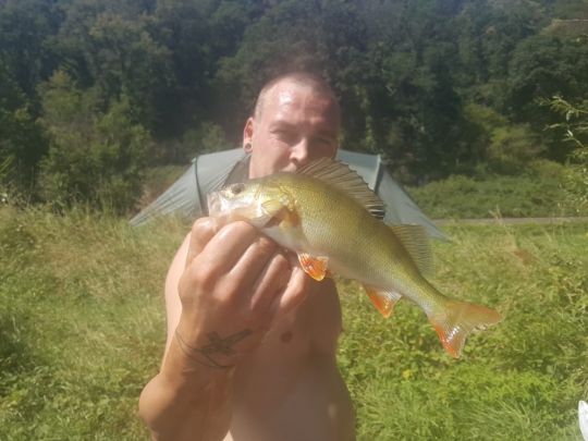 Main (Bürgstadt am Main)-2