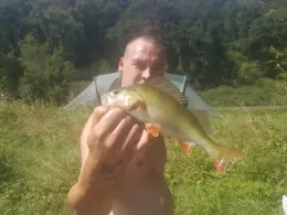 Main (Bürgstadt am Main)-2