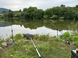 Main (Bürgstadt am Main)