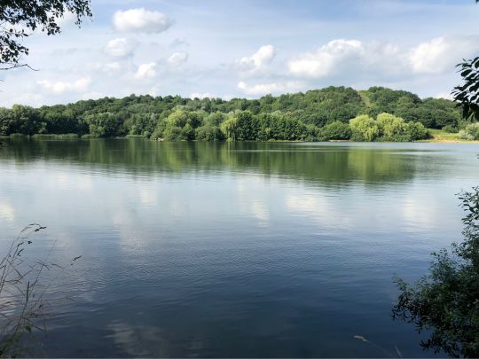 Hummelsee (Hamburg)-2