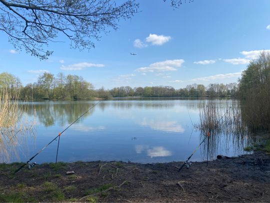 Hummelsee (Hamburg)