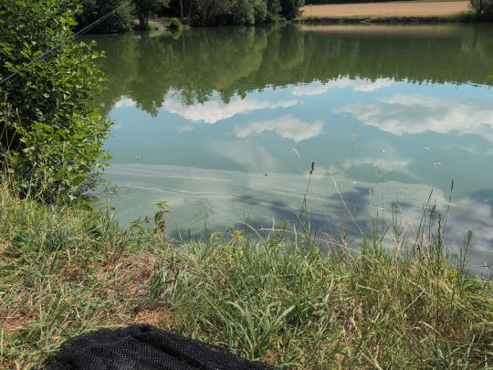 Ziegelweiher (Abenberg)-3