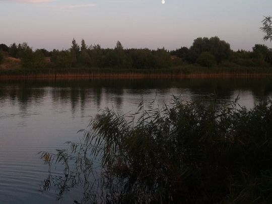 Sauziner Baggersee-1