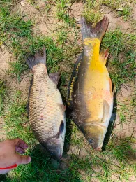 Silbersee (Weltersbach)