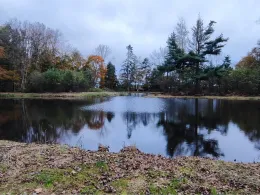 Zwillingskuhle (Wüsting)-0