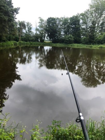 Zwillingskuhle (Wüsting)