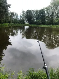 Zwillingskuhle (Wüsting)