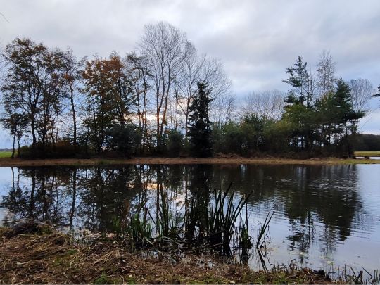 Zwillingskuhle (Wüsting)-2