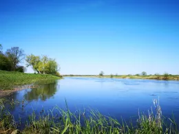 Aller (Frankenfeld)-3