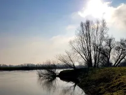 Aller (Frankenfeld)-2