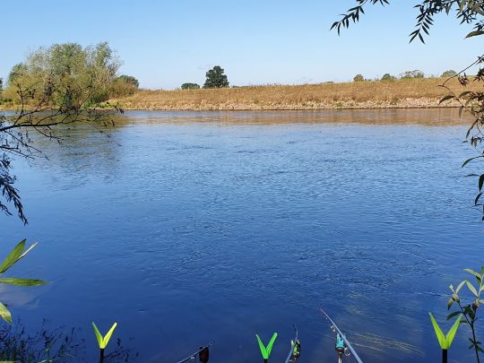 Aller (Frankenfeld)-4