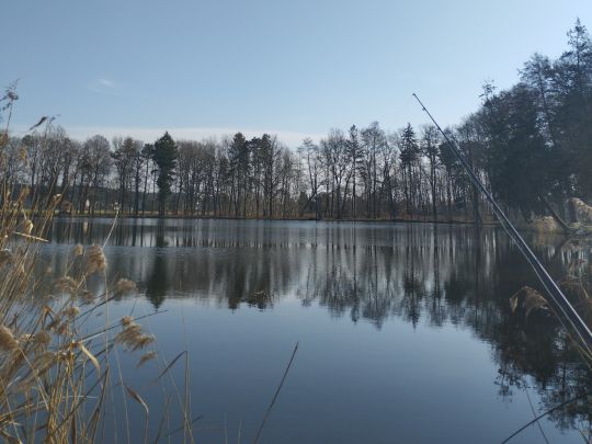 Maximiliansteich (Klitten)-3