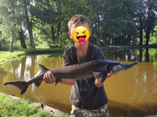 Maximiliansteich (Klitten)-4