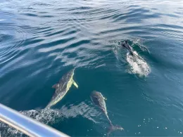 Plobannalec-Lesconil-3