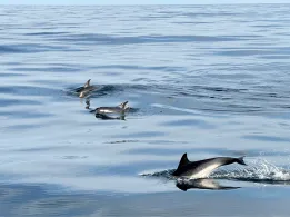 Plobannalec-Lesconil-4