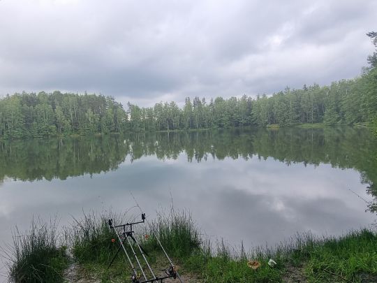 Silbersee (Wiesau)-2