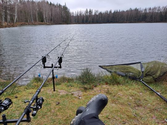 Silbersee (Wiesau)-4