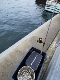 Kommunalhafen Heiligenhafen