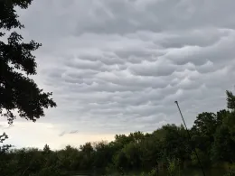 Mühlfeldsee Büchelkühn Nord