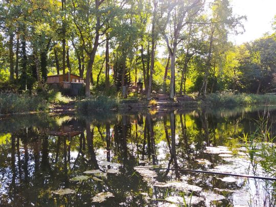 3 Waldteiche Dobien-2