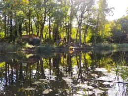 3 Waldteiche Dobien-2