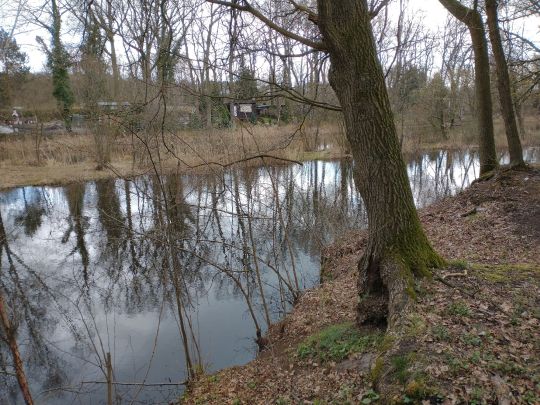 3 Waldteiche Dobien-1