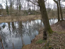 3 Waldteiche Dobien-1