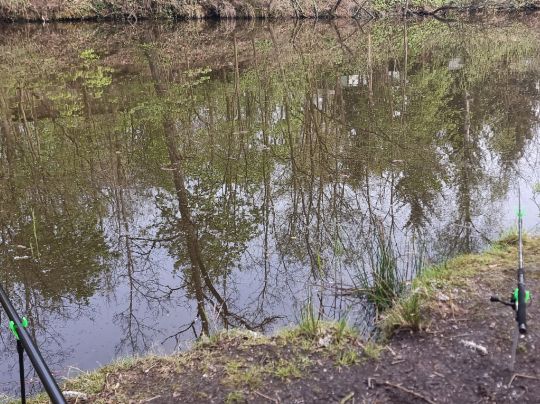 3 Waldteiche Dobien-4