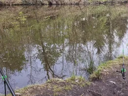 3 Waldteiche Dobien-4