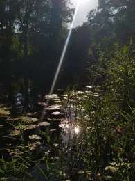 3 Waldteiche Dobien-3