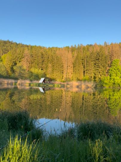 Teichanlage Edelaue-4