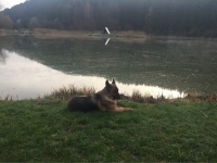 Teichanlage Edelaue-1