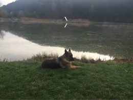 Teichanlage Edelaue-1