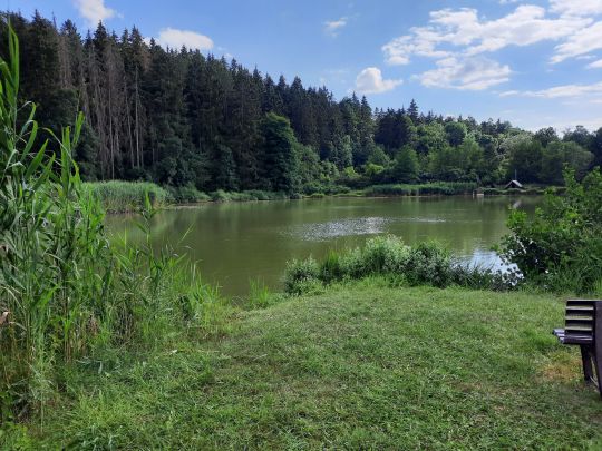 Teichanlage Edelaue-3