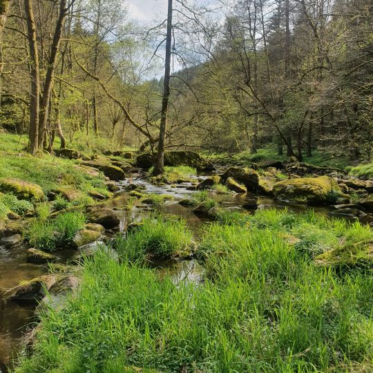 Schwarzach (Neunburg vorm Wald)-2
