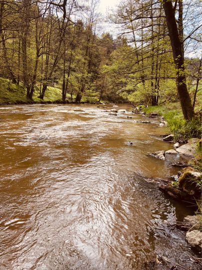 Schwarzach (Neunburg vorm Wald)-4