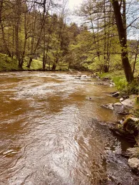 Schwarzach (Neunburg vorm Wald)-4