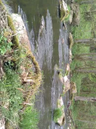 Schwarzach (Neunburg vorm Wald)-3