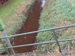 Bondenau (Großsolt)-1