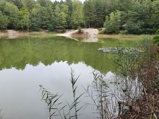 Blaue Adria (Krauschwitz)-3