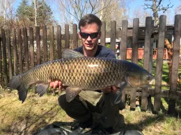 Blaue Adria (Krauschwitz)