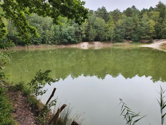 Blaue Adria (Krauschwitz)-2