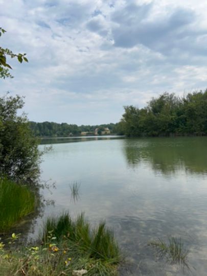 Alte Tongrube (Guttau)-2