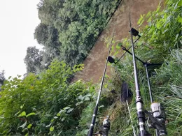 Zwickauer Mulde (Wolkenburg)